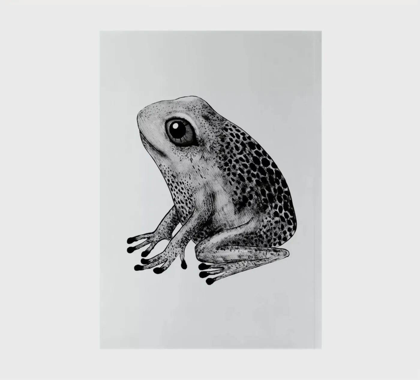 Frog notebook by Tvinkla