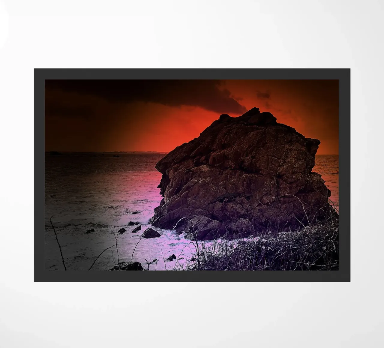 FAA138 zerbino da Thierry vobmann photography