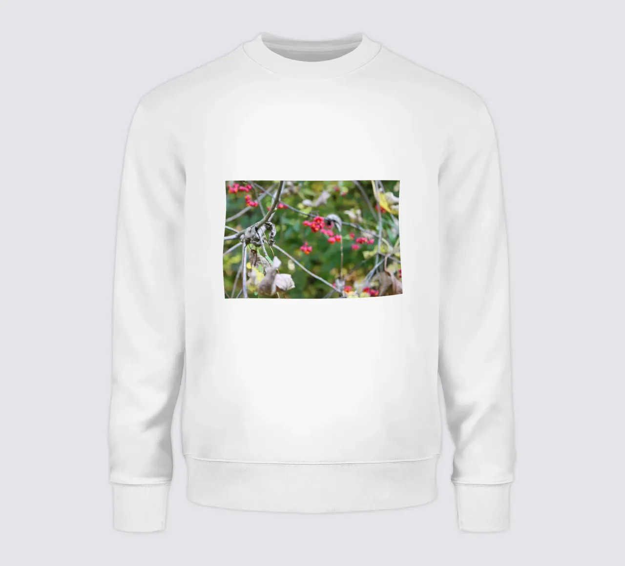 Flora in autunno felpa da Alexandra Joseph Fotomomente