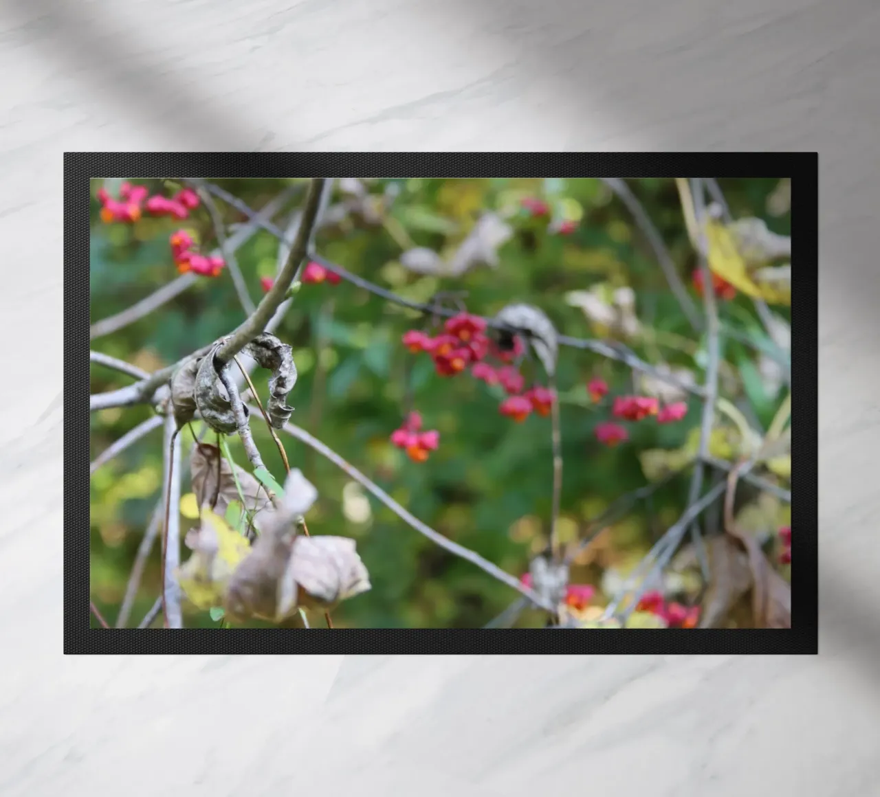 Flora in autunno zerbino da Alexandra Joseph Fotomomente