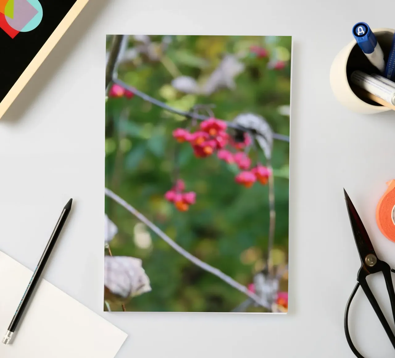 La flore en automne carnet de notes de Alexandra Joseph Fotomomente
