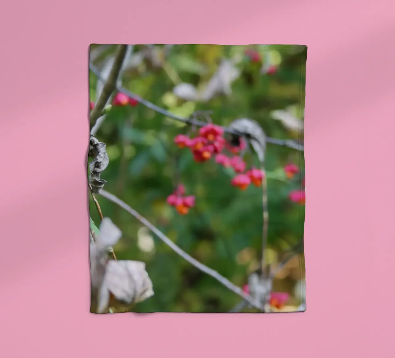 Flora in autunno coperta in pile da Alexandra Joseph Fotomomente
