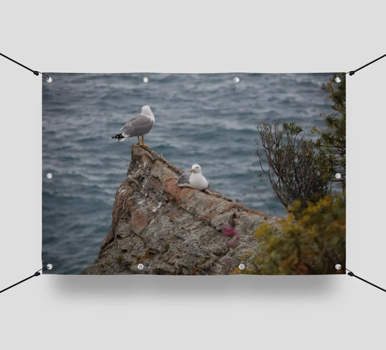 I gabbiani e il mare telo in pvc da Alexandra Joseph Fotomomente