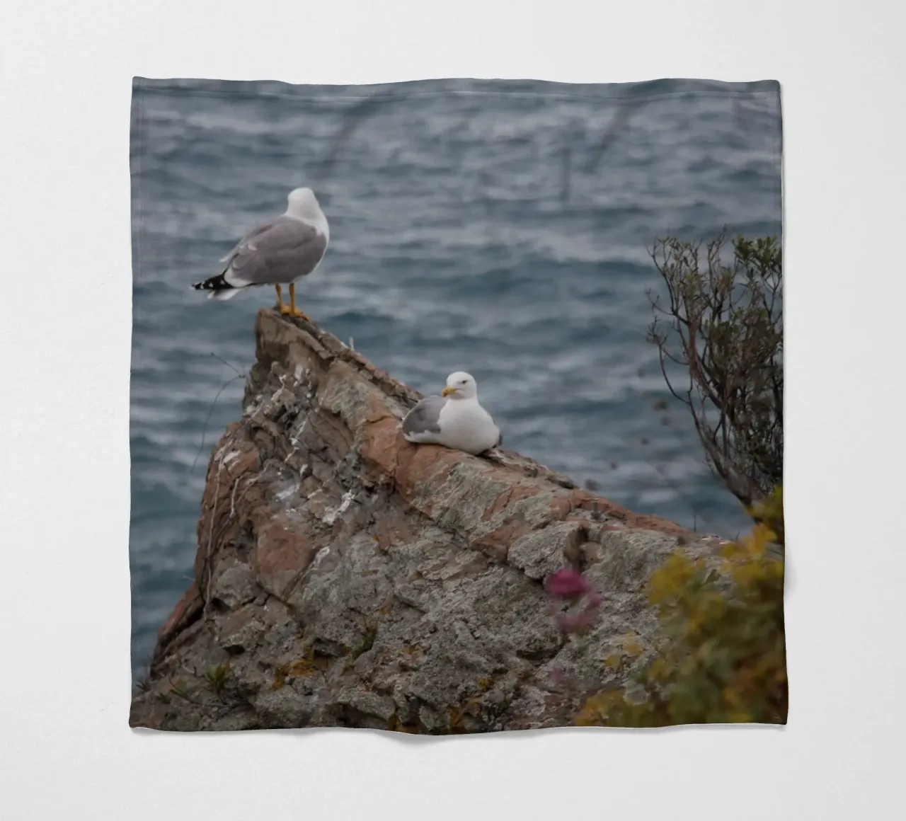I gabbiani e il mare coperta in pile da Alexandra Joseph Fotomomente