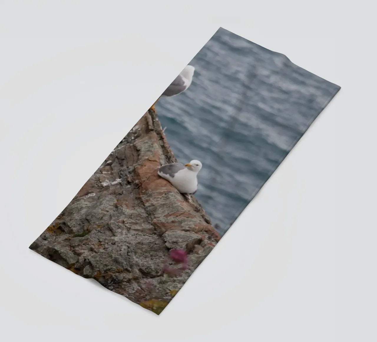 I gabbiani e il mare telo mare da Alexandra Joseph Fotomomente