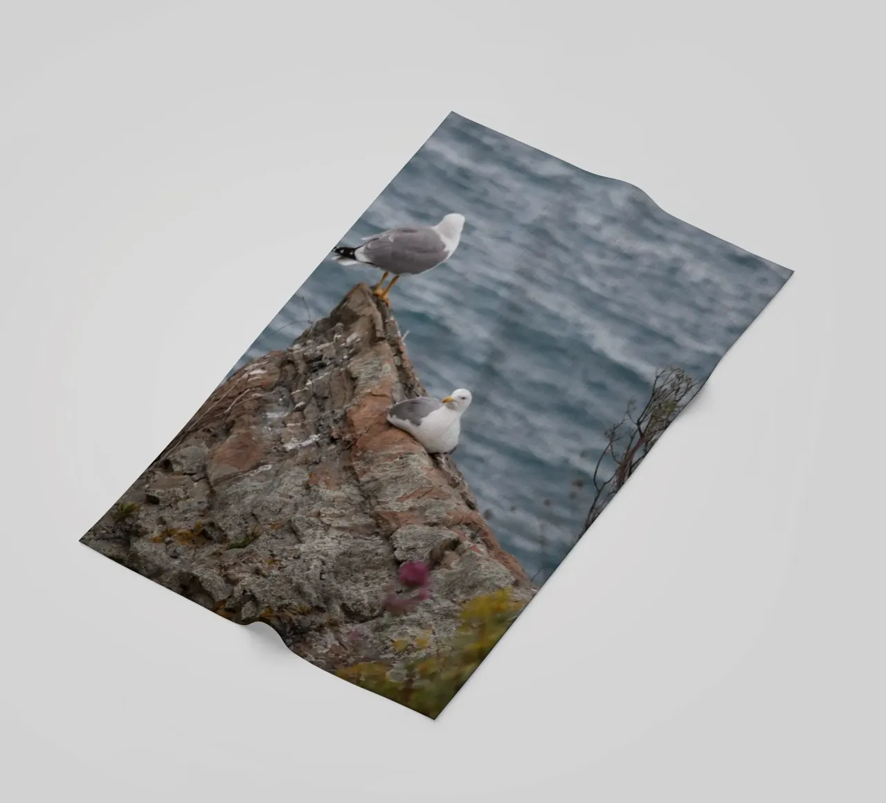 I gabbiani e il mare telo mare da Alexandra Joseph Fotomomente