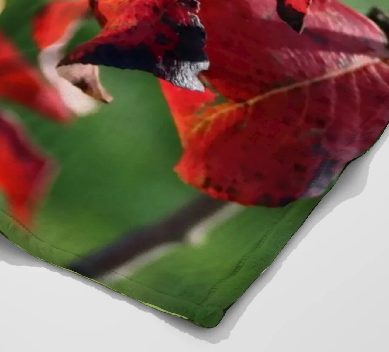 Foglie d'autunno coperta in pile da Alexandra Joseph Fotomomente