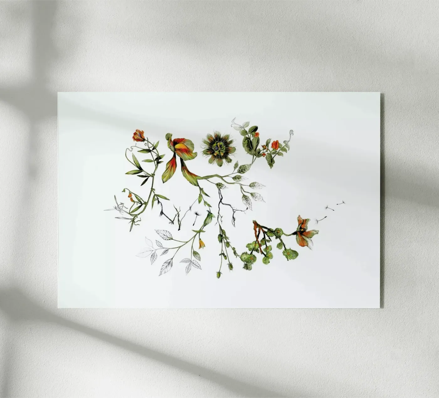 Grow With Me plexiglass da La Scarlatte