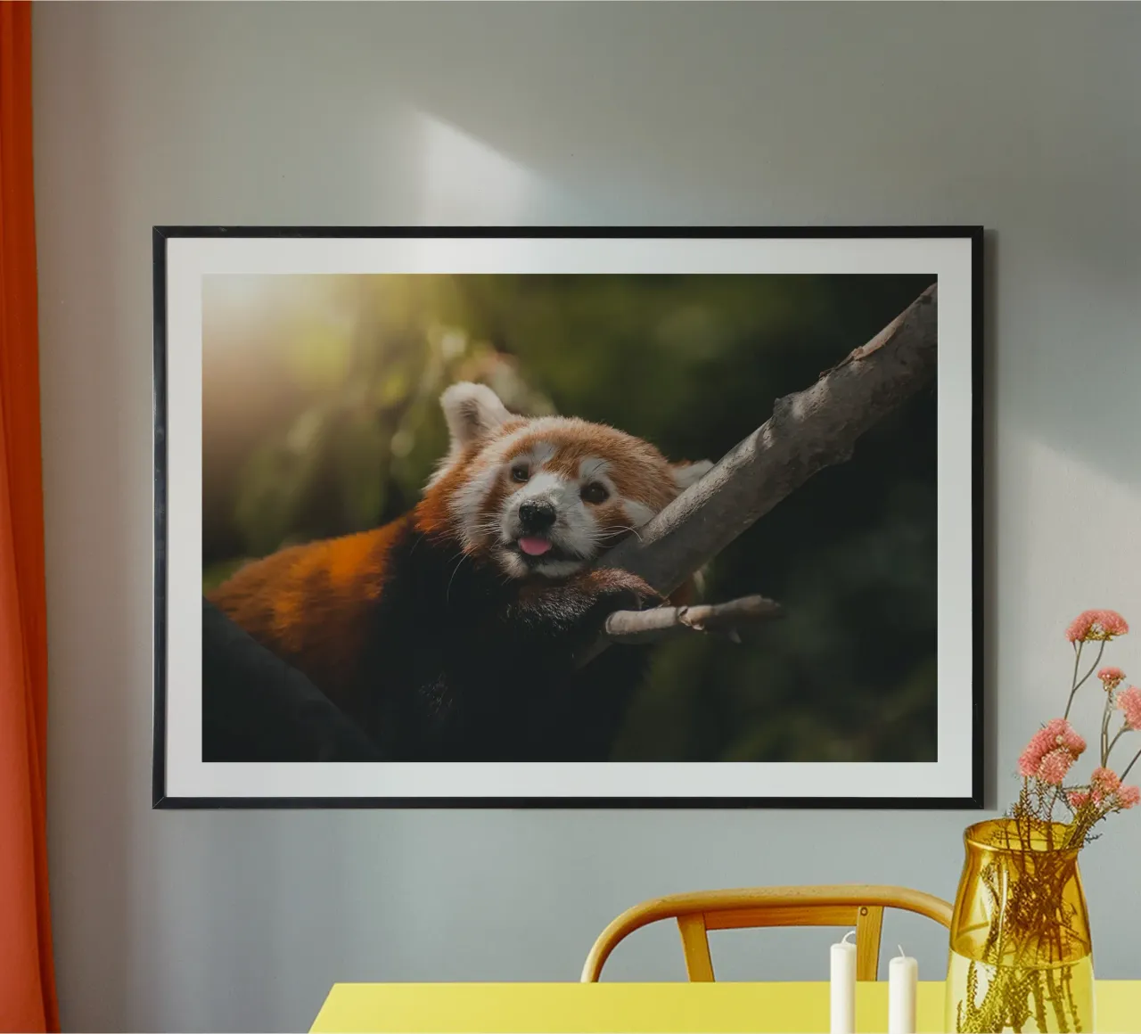 Roter Panda – Der kleine Waldgeist Poster mit Kunststoffrahmen von fokusfernweh