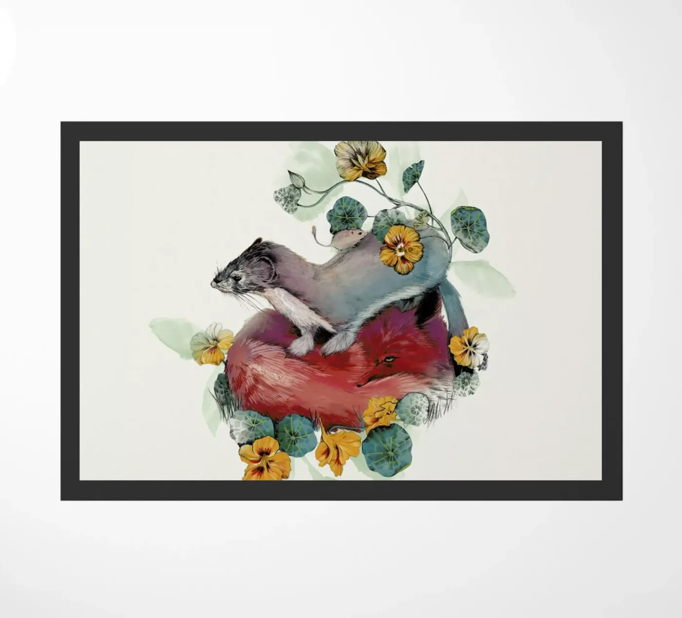 Stoat & Fox zerbino da La Scarlatte