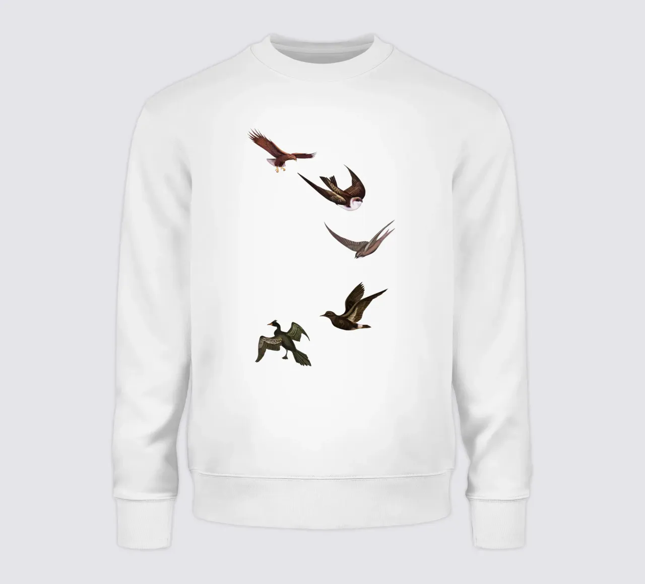 Schema di mantenimento felpa da Cassia Beck Collage