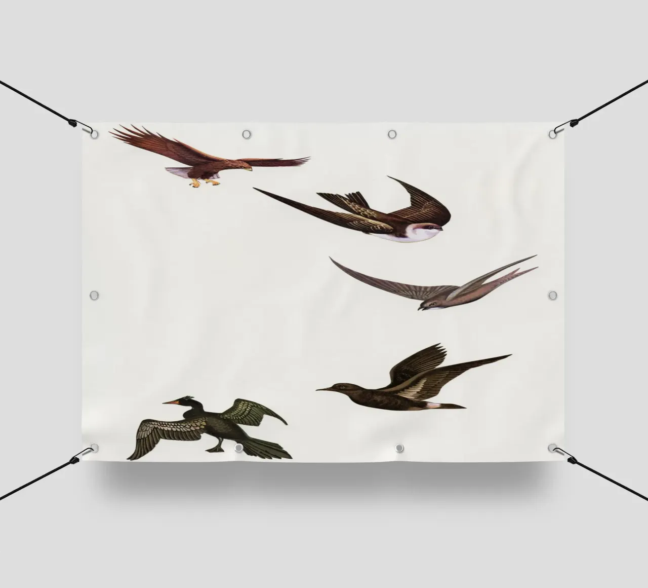 Schema di mantenimento telo in pvc da Cassia Beck Collage