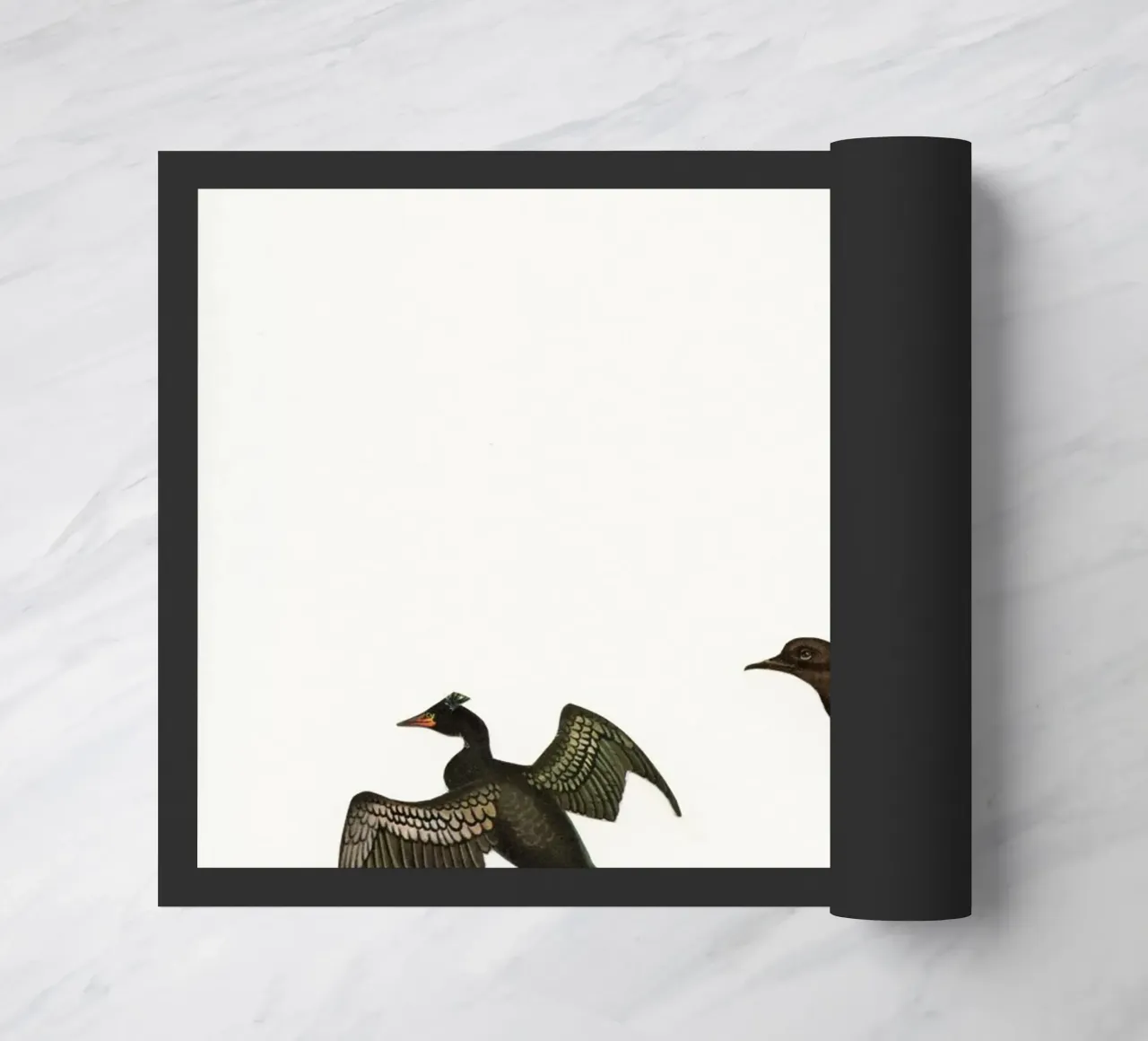 Schema di mantenimento zerbino da Cassia Beck Collage