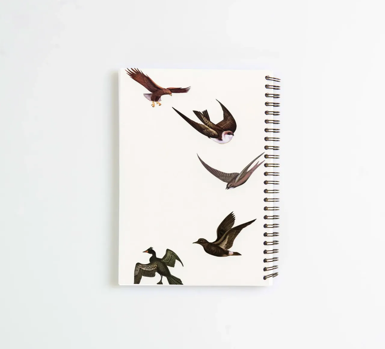 Holding Pattern spiral notebook by Cassia Beck Collage