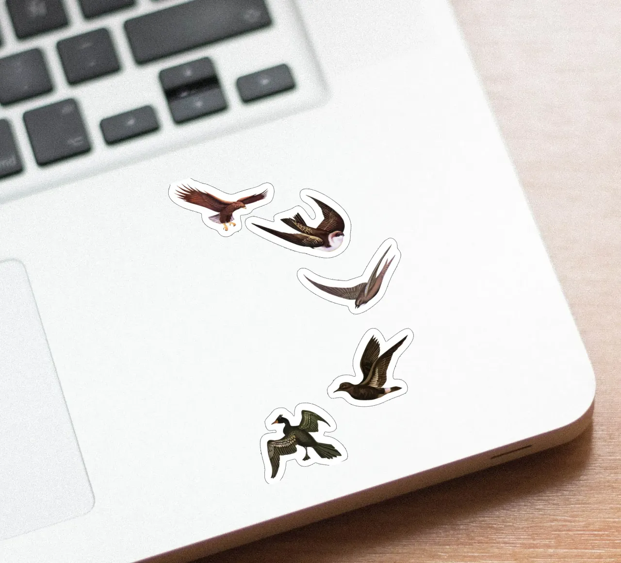 Holding Pattern sticker by Cassia Beck Collage