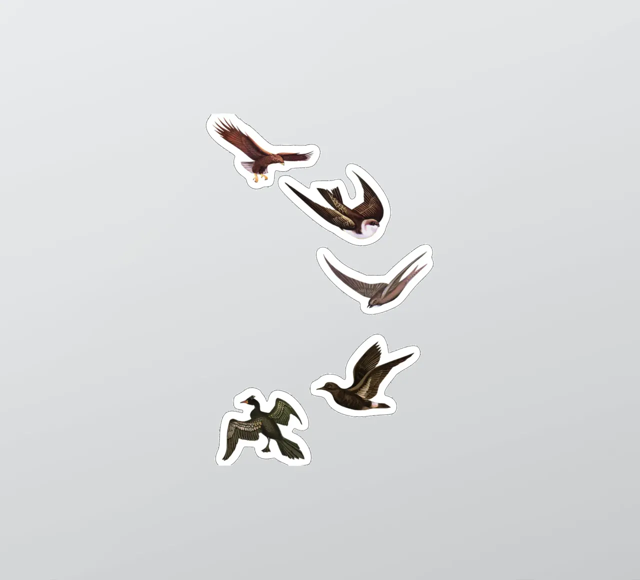 Holding Pattern sticker by Cassia Beck Collage