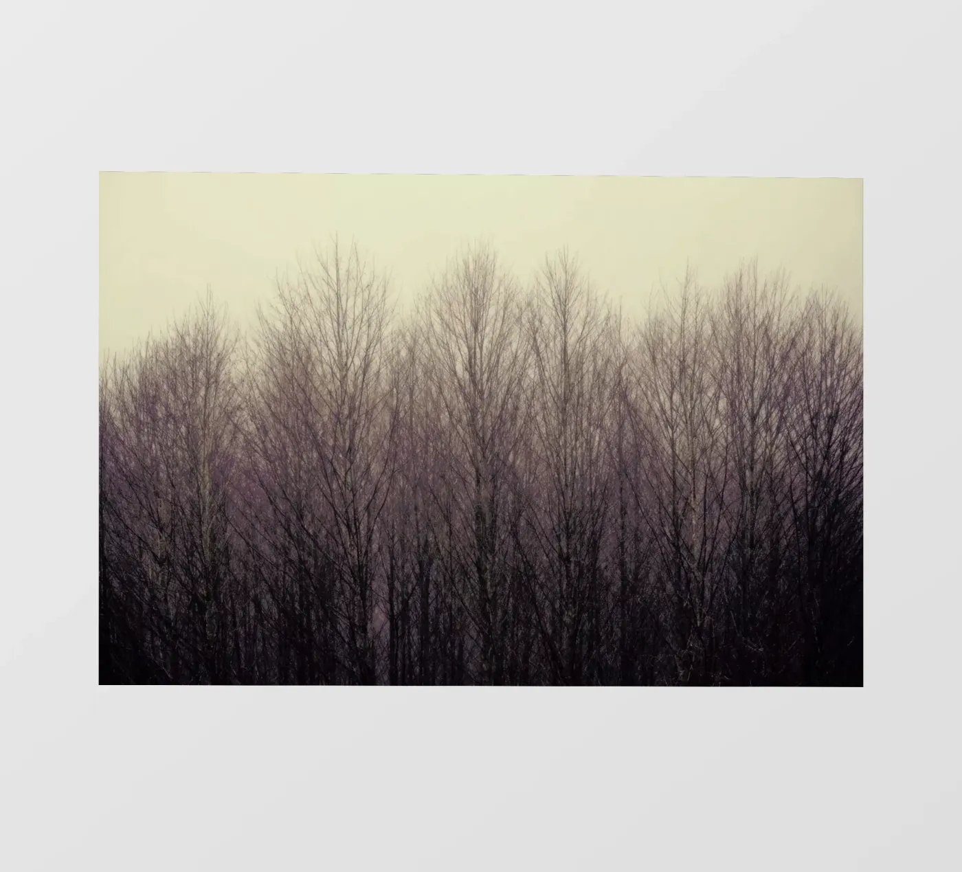 Forest telo in pvc da Robin Delean