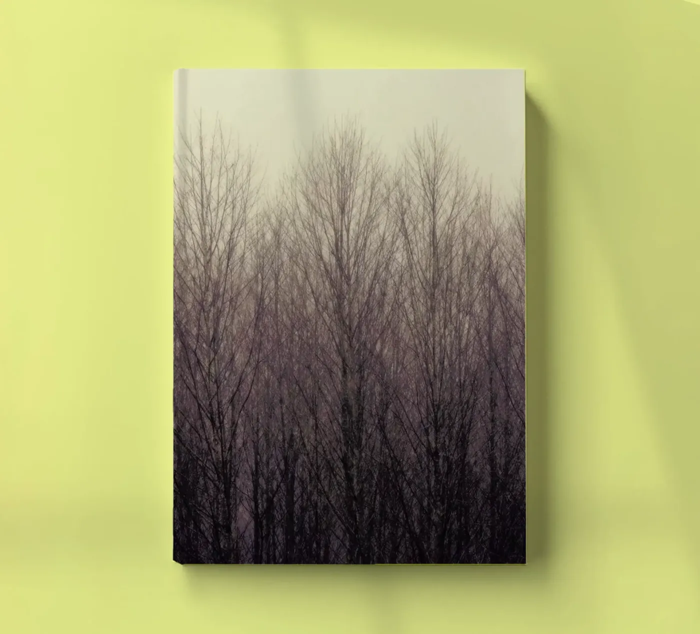 Forest notebook by Robin Delean