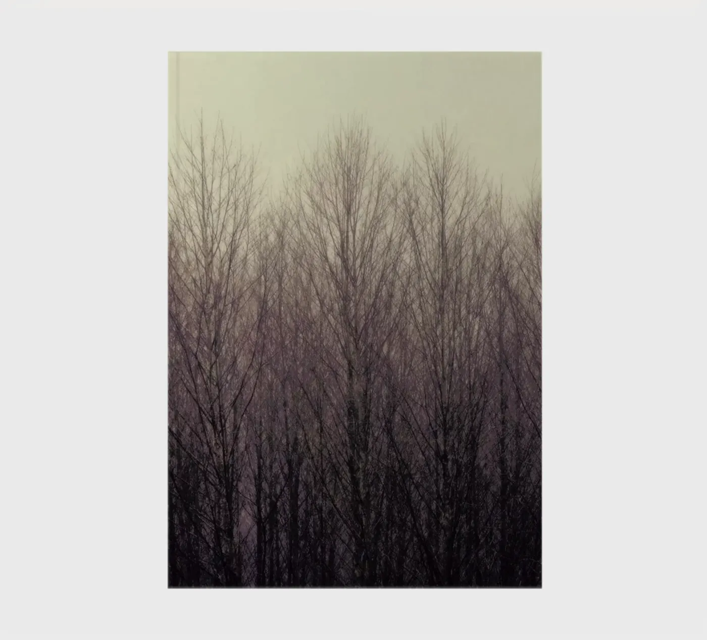 Forest notebook by Robin Delean
