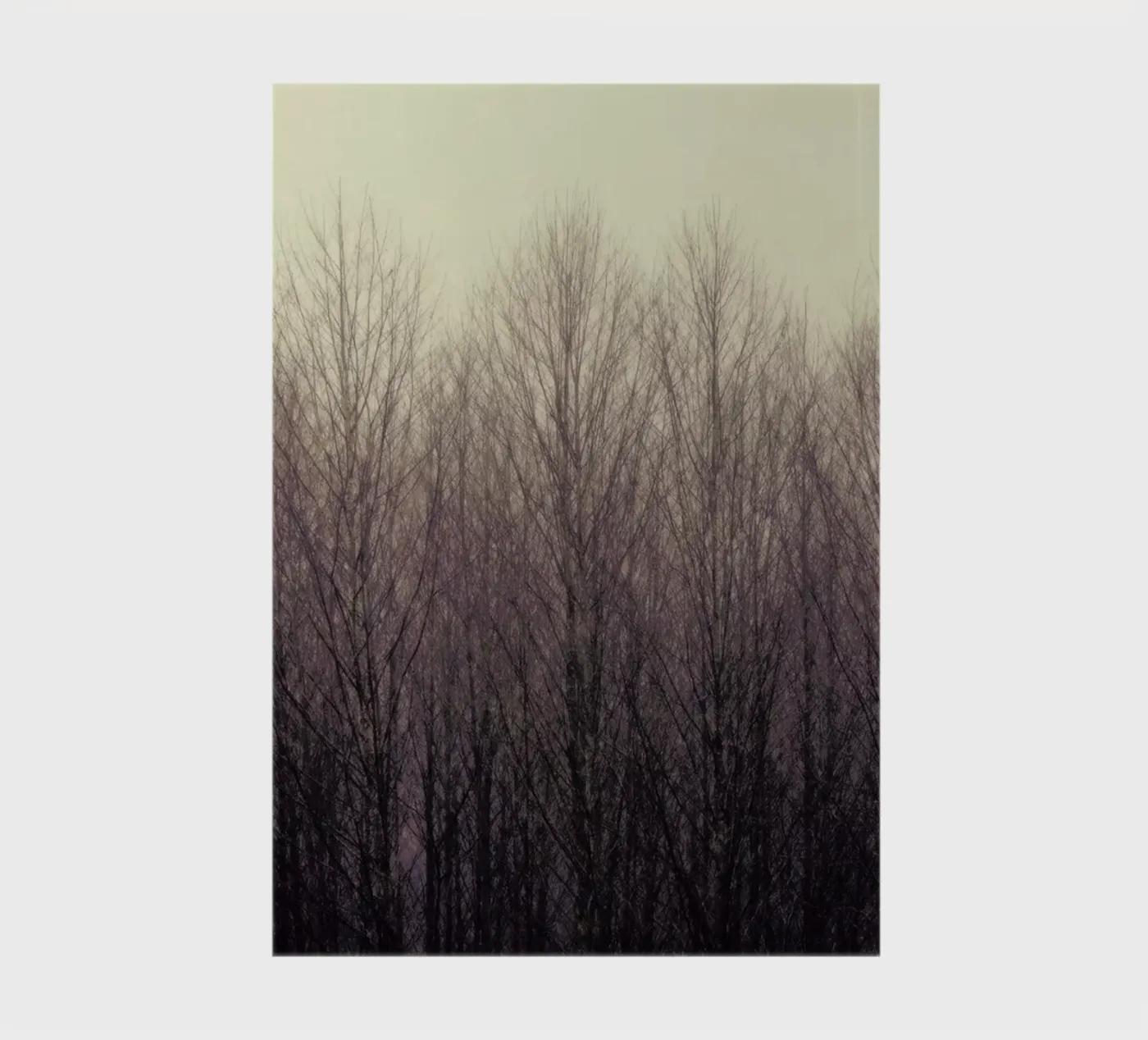 Forest notebook by Robin Delean