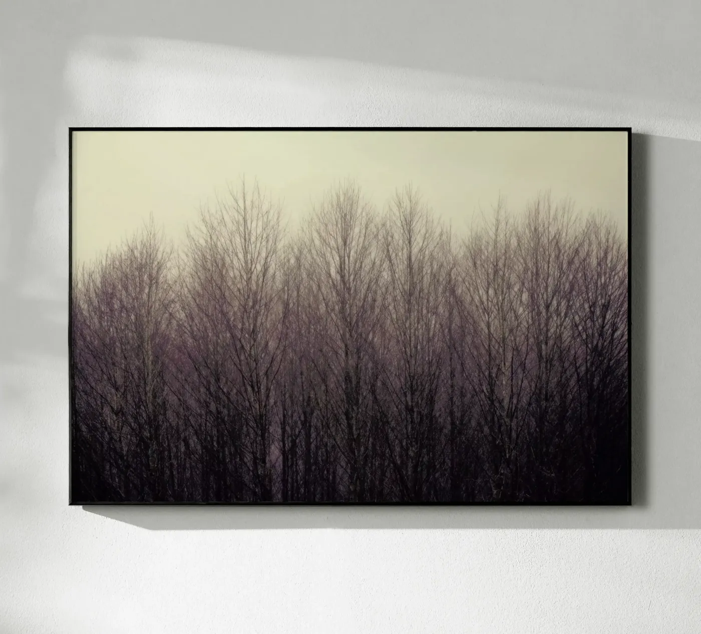 Forest Acryl-Glas von Robin Delean