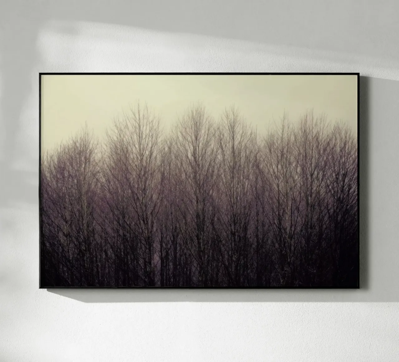 Forest plexiglass da Robin Delean