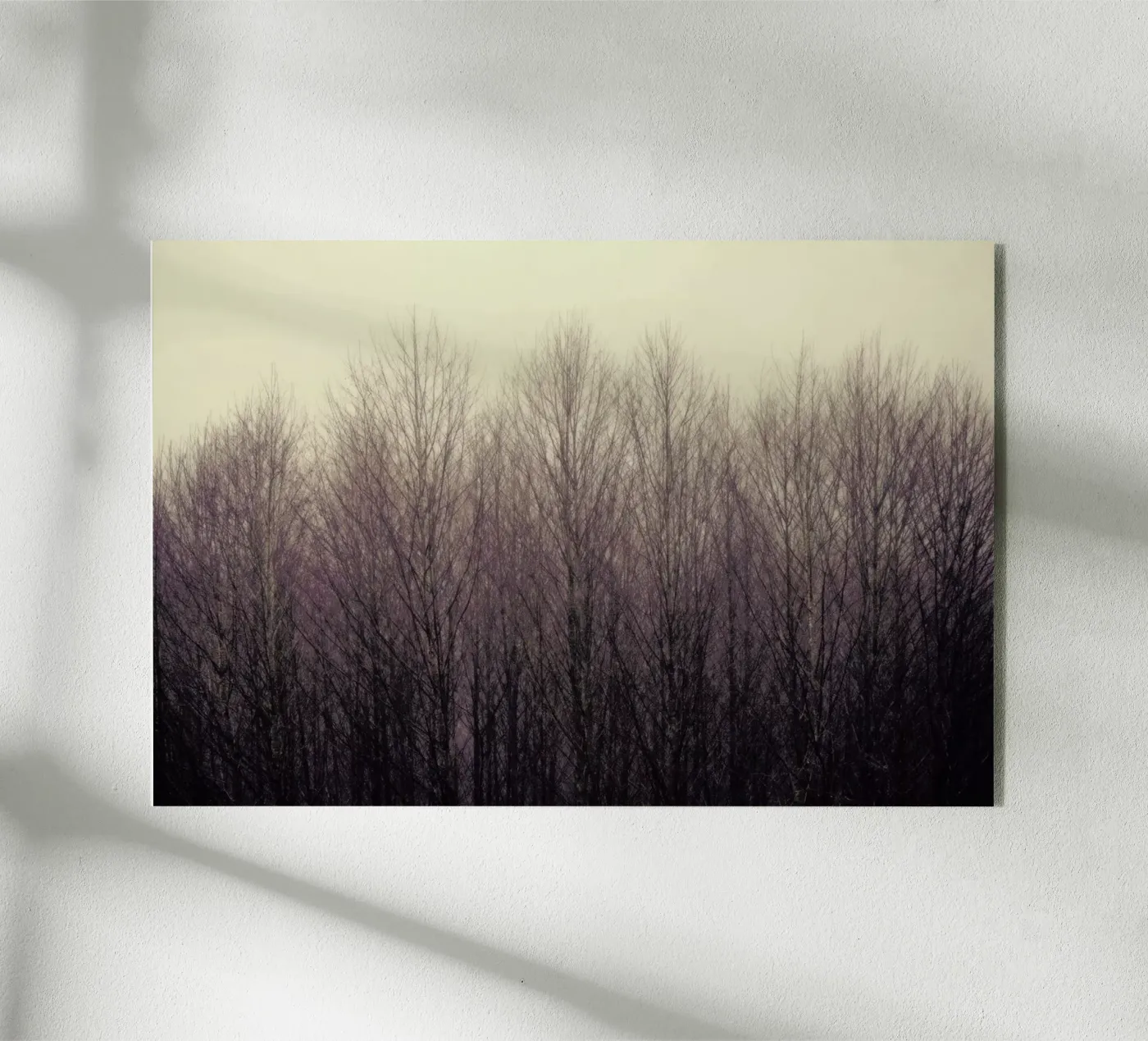 Forest plexiglas de Robin Delean