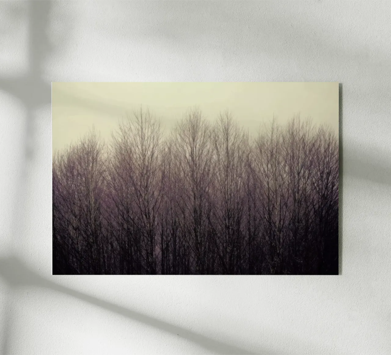 Forest plexiglass da Robin Delean