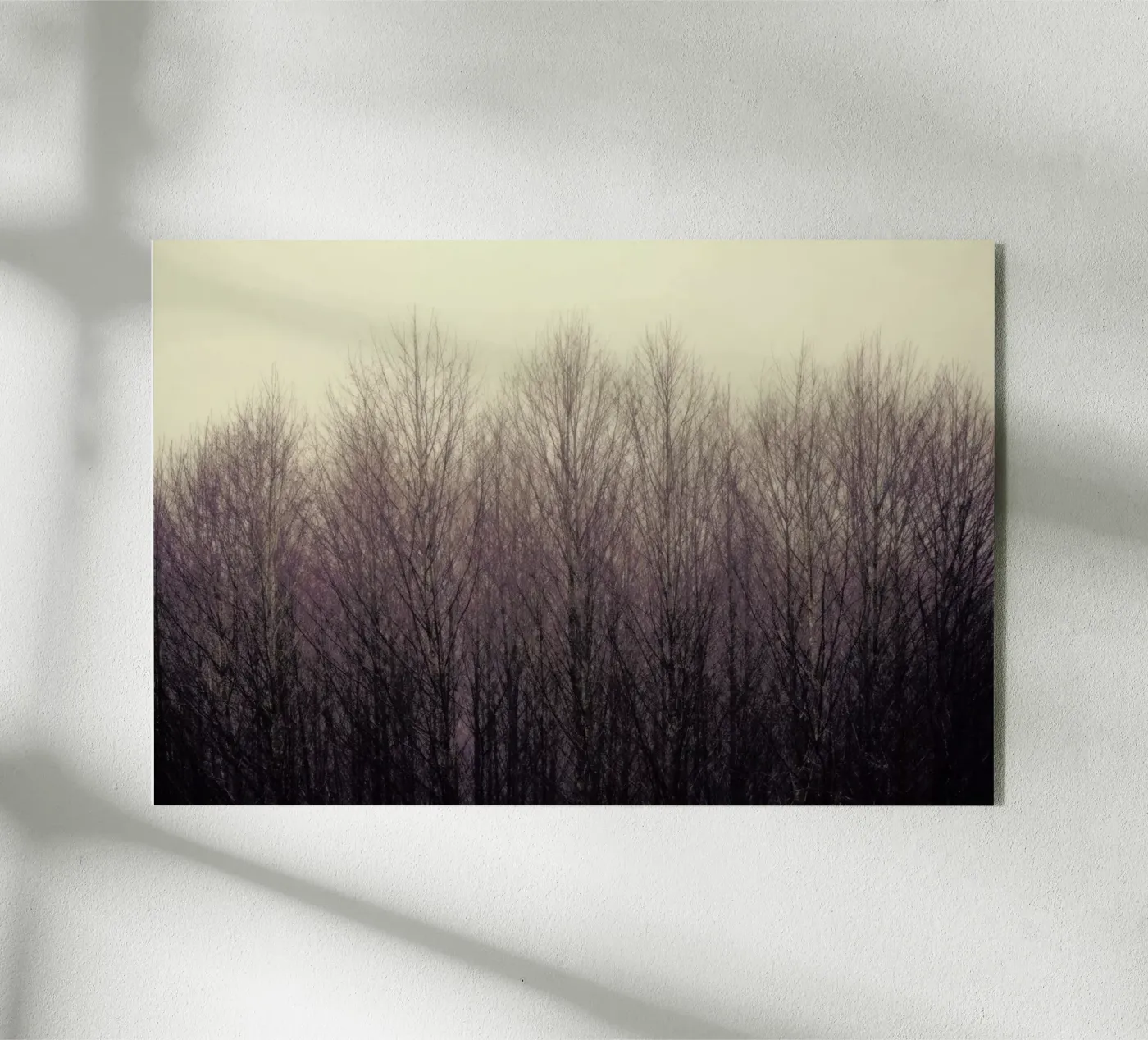 Forest Acryl-Glas von Robin Delean