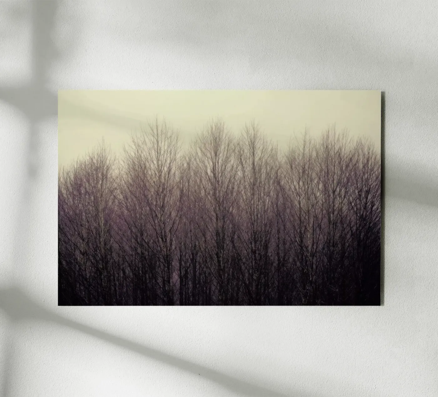 Forest forex plate by Robin Delean