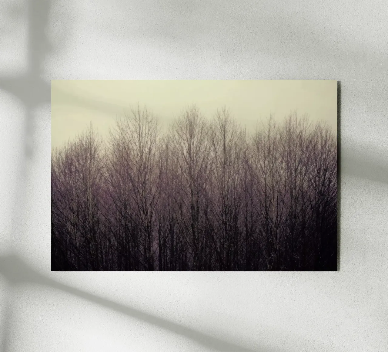 Forest forex plate by Robin Delean