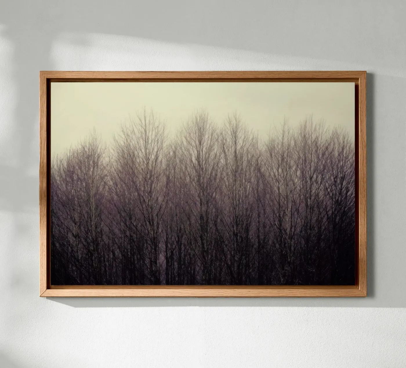 Forest canvas van Robin Delean