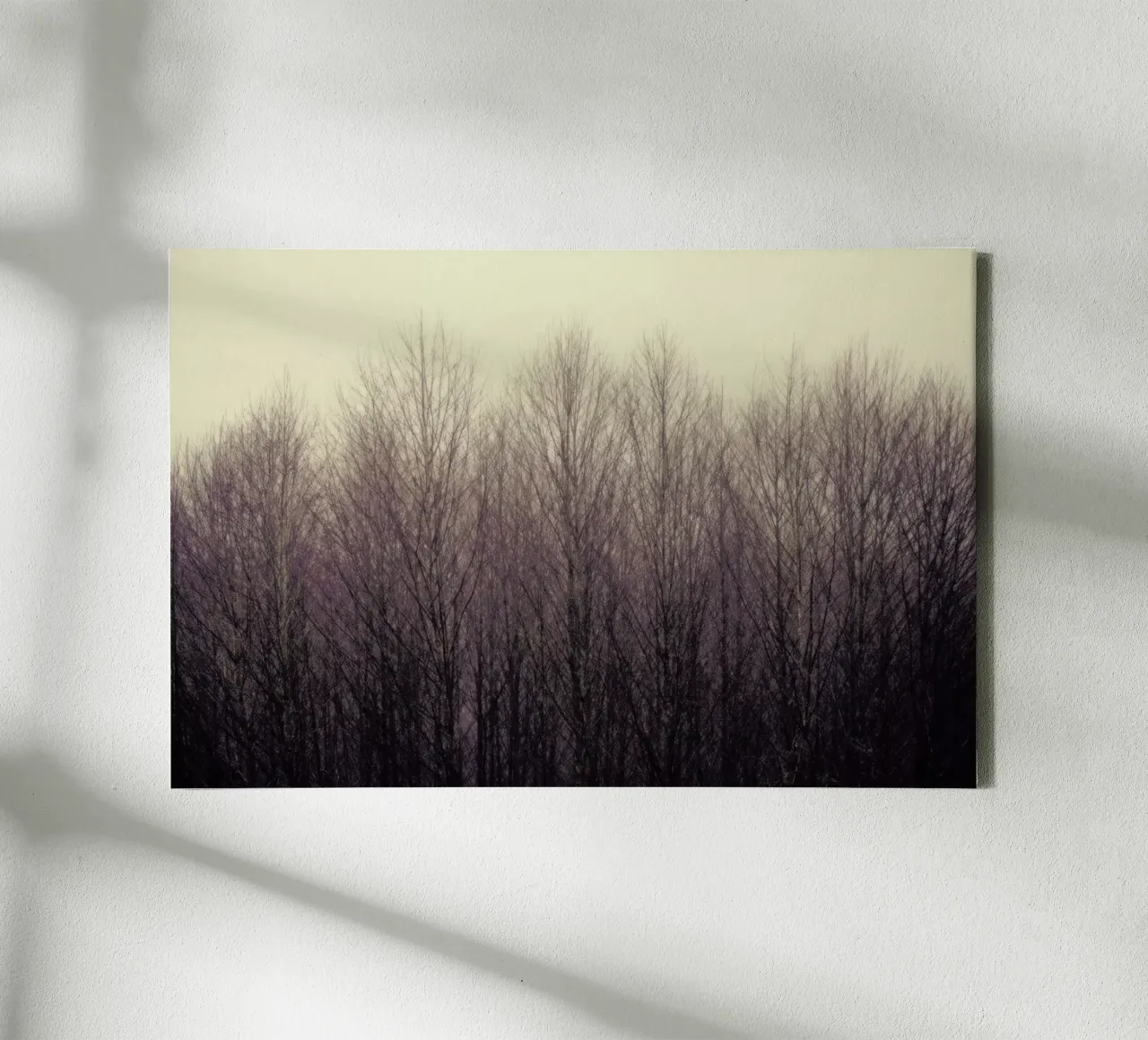 Forest canvas by Robin Delean