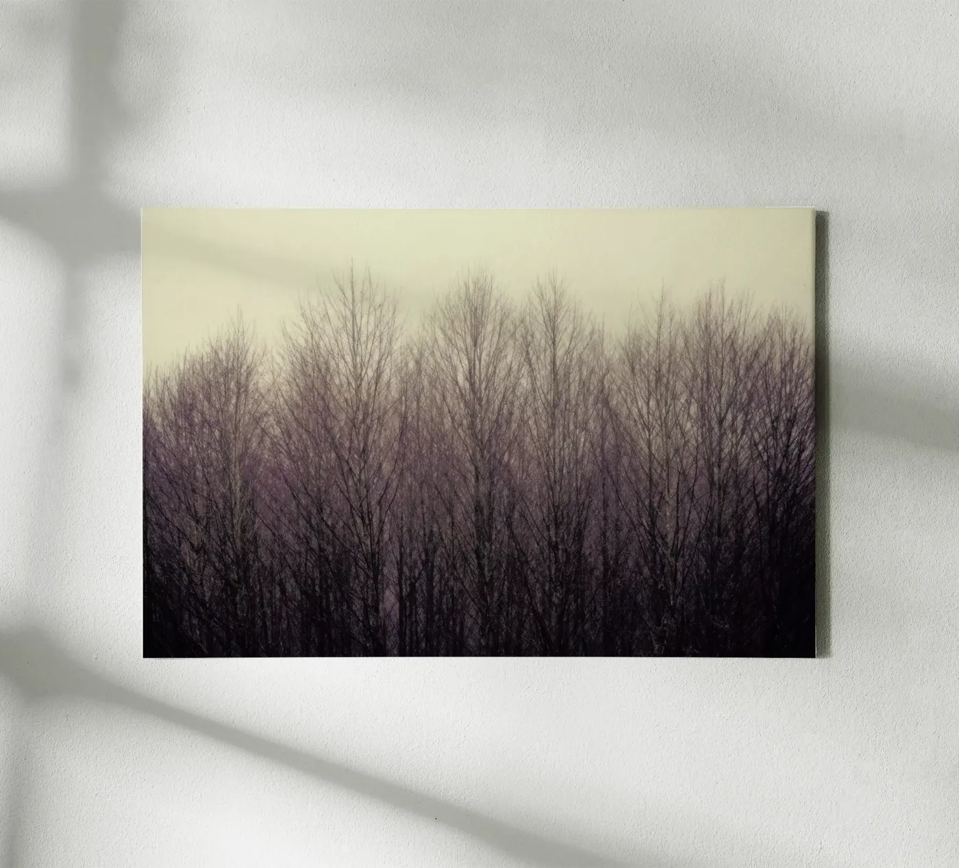 Forest canvas by Robin Delean