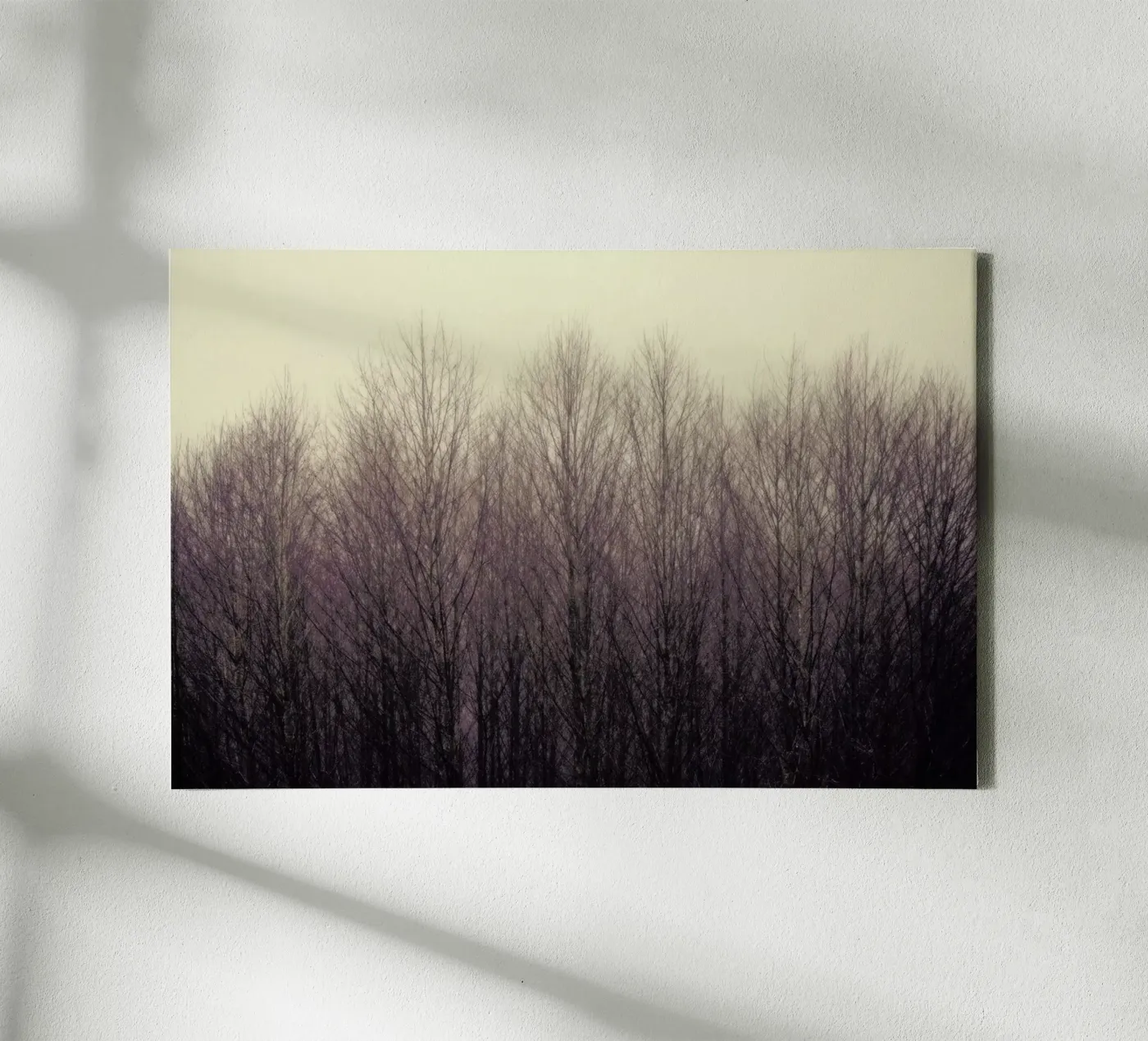 Forest canvas van Robin Delean