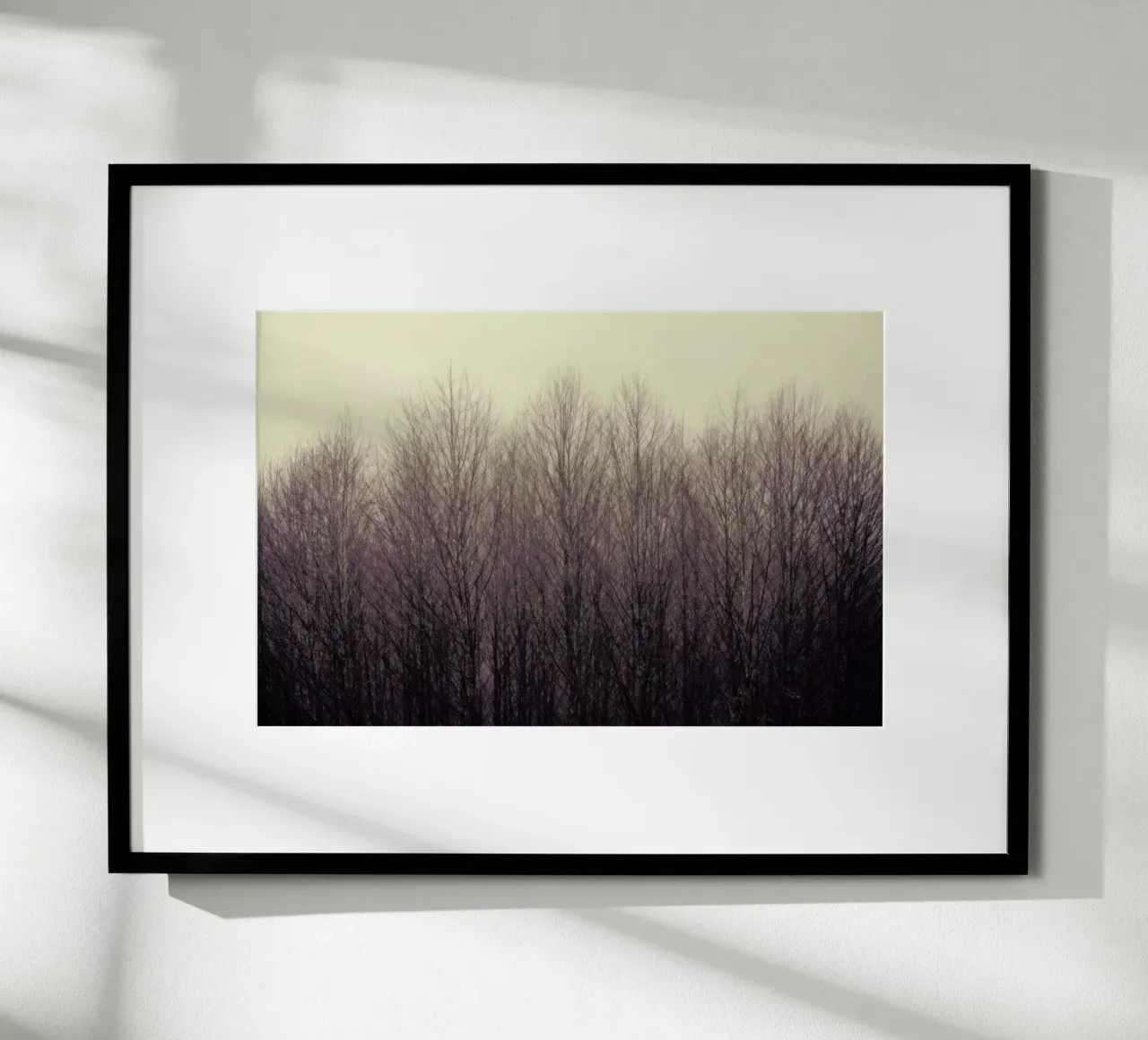 Forest poster con telaio in plastica da Robin Delean