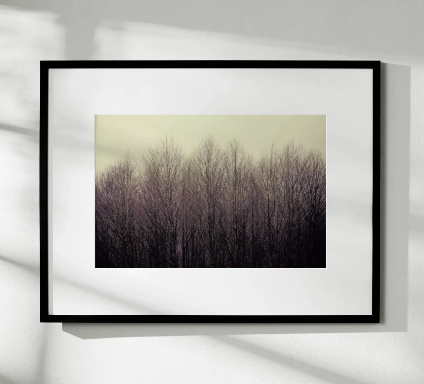 Forest poster van Robin Delean