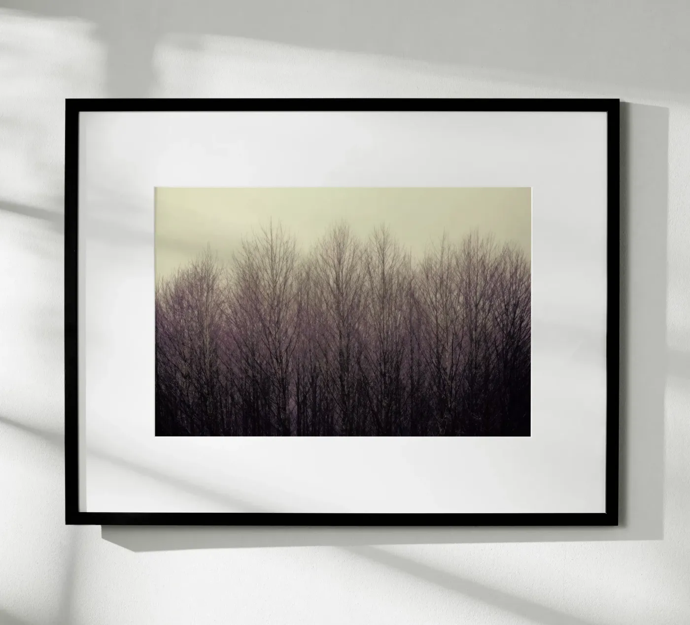 Forest poster by Robin Delean