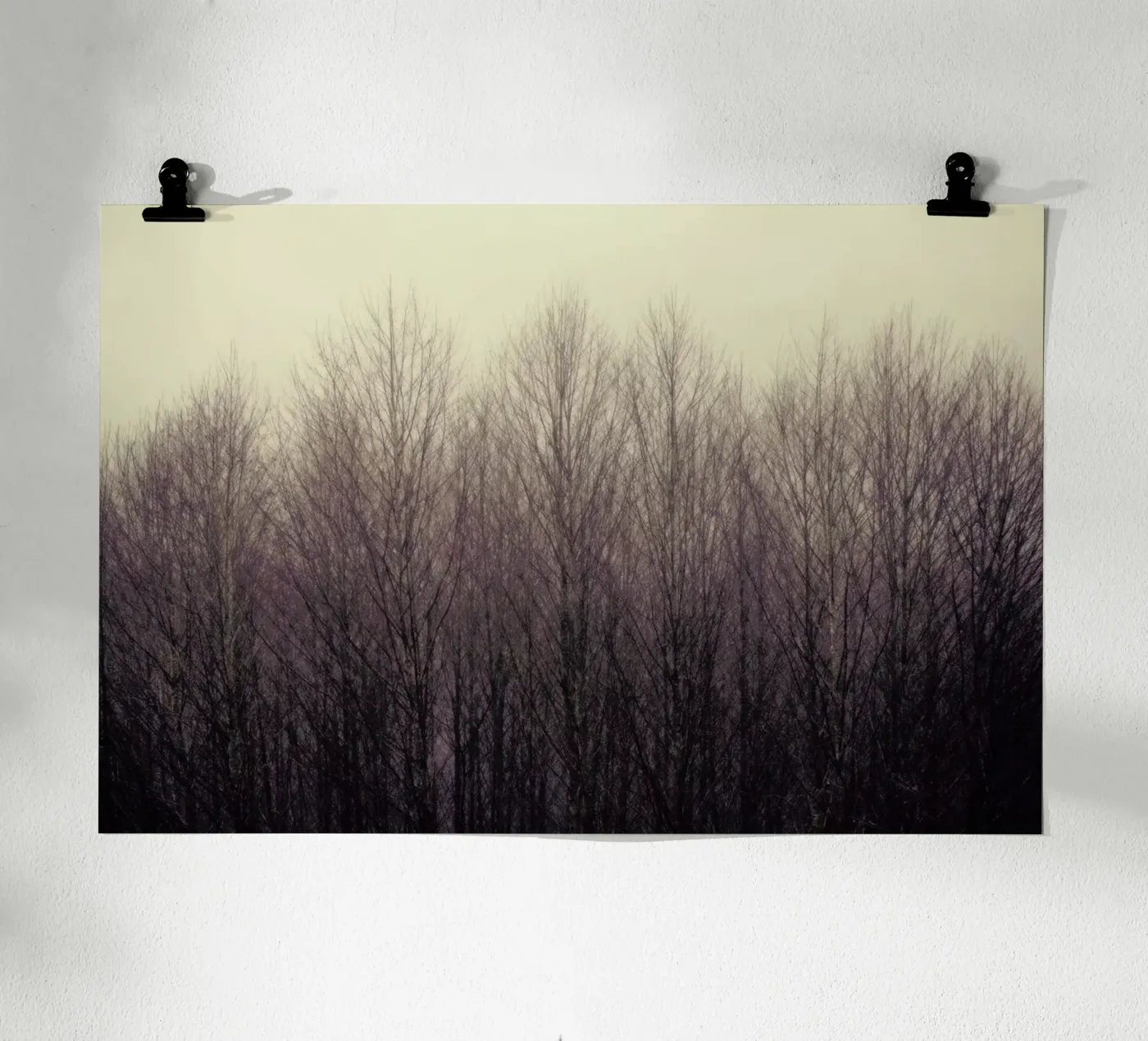 Forest poster by Robin Delean