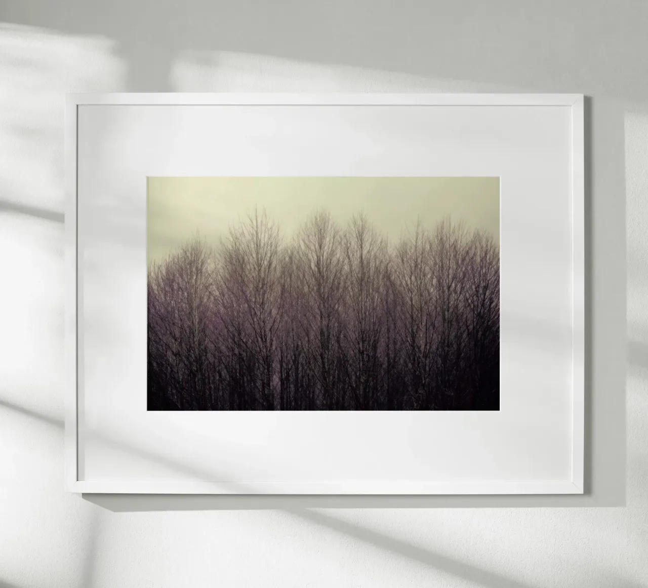 Forest poster con telaio in plastica da Robin Delean