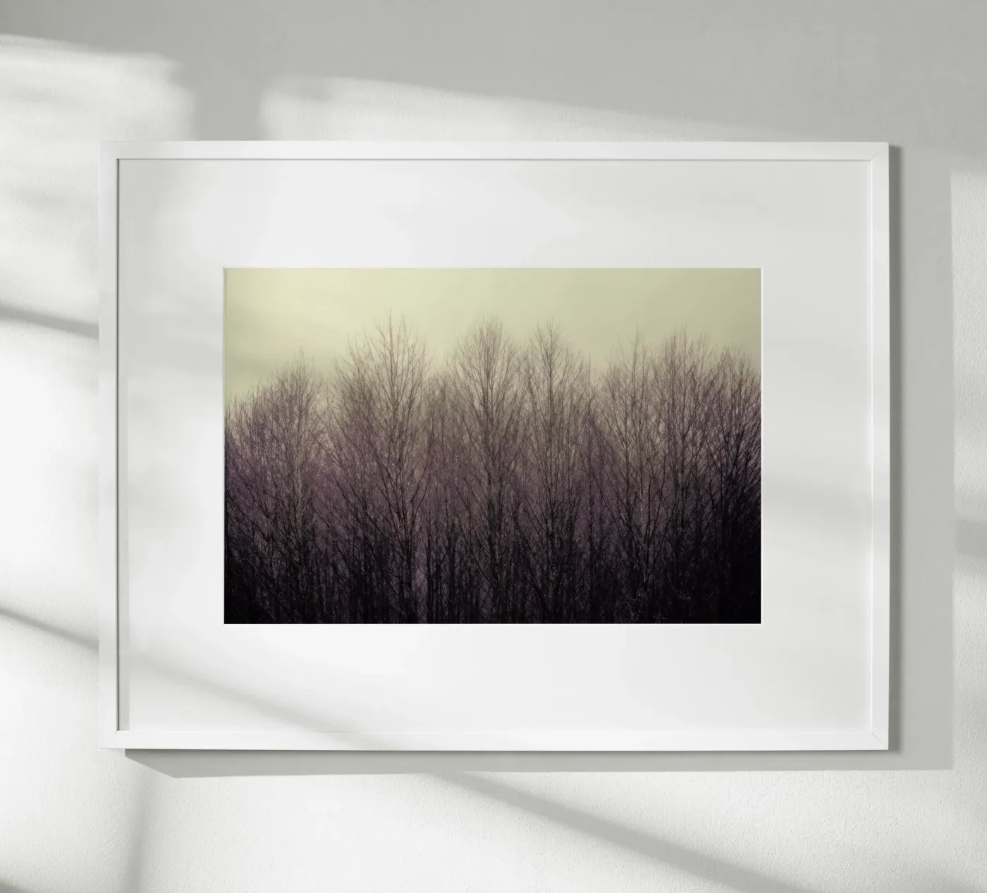 Forest poster van Robin Delean
