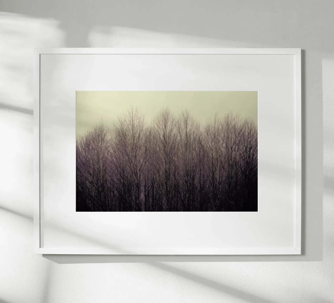 Forest poster by Robin Delean