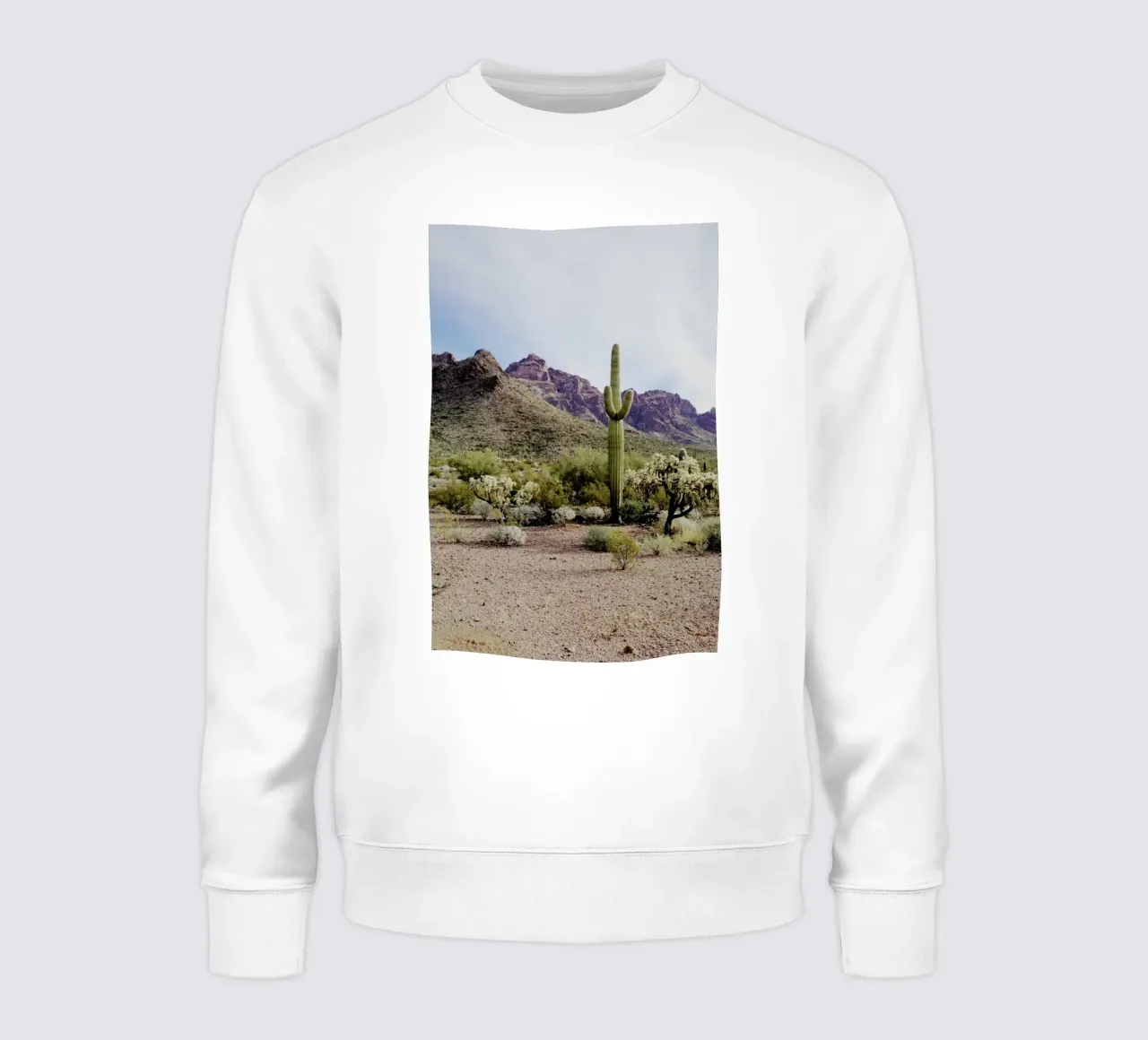 Arizona Cactus felpa da Kevin Russ