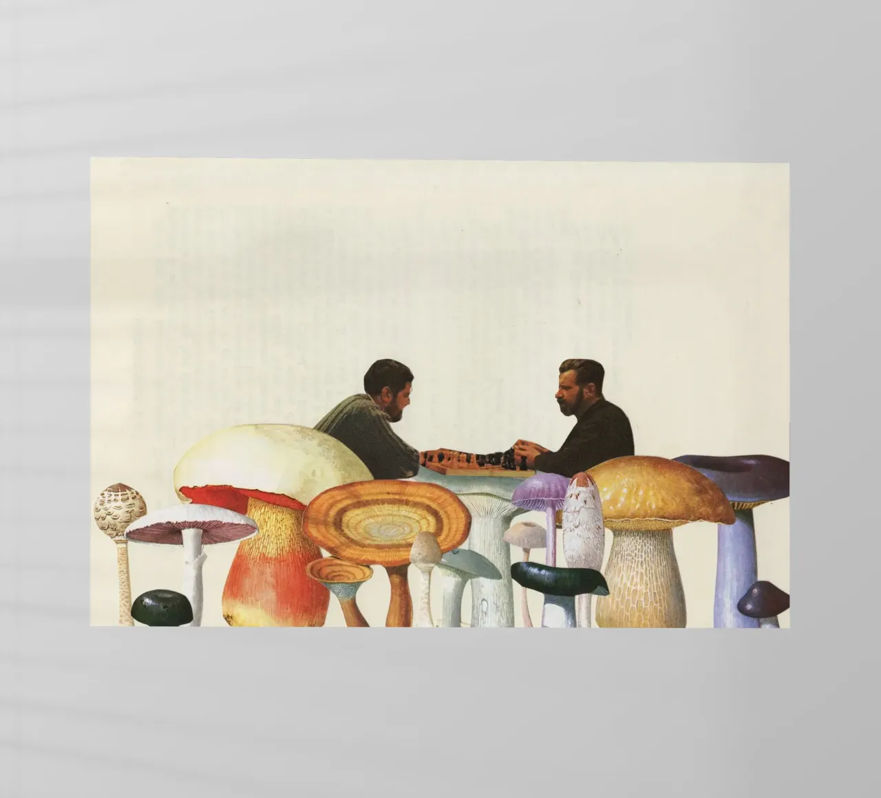 Scacchi tra i funghi pellicola backlit da Cassia Beck Collage