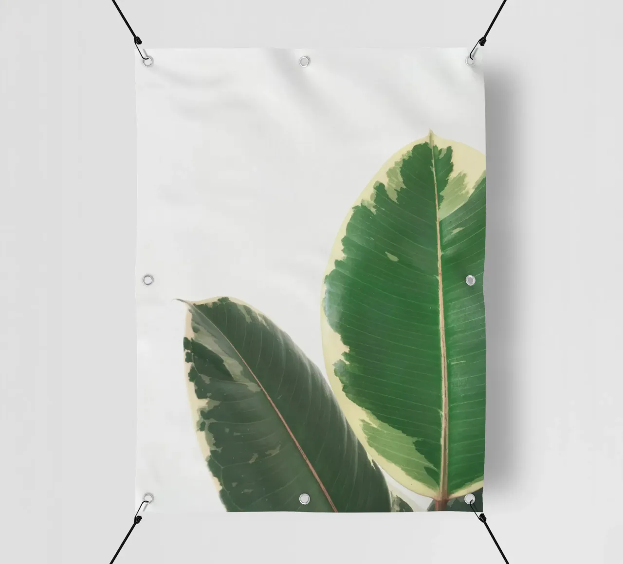 Studio delle foglie telo in pvc da Cassia Beck Photography