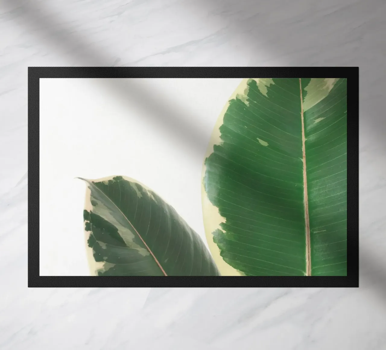 Studio delle foglie zerbino da Cassia Beck Photography