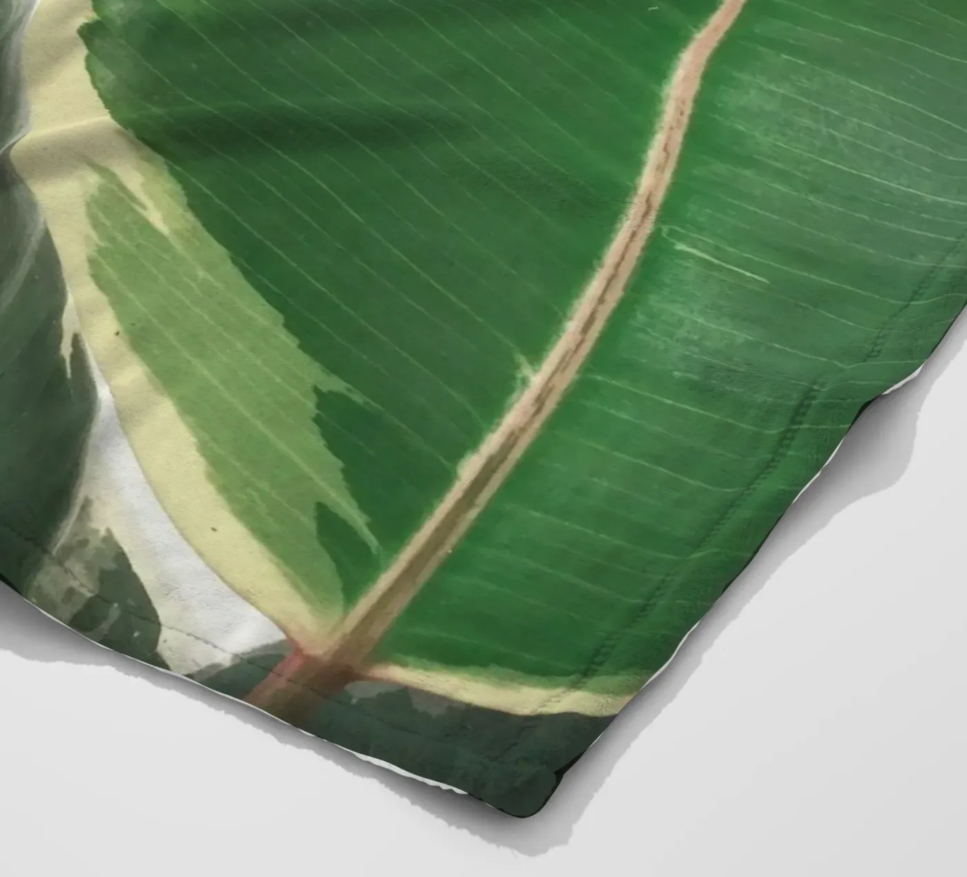 Studio delle foglie coperta in pile da Cassia Beck Photography