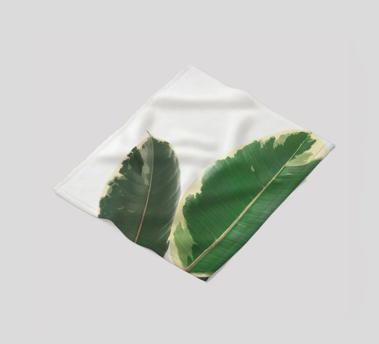 Bladstudie fleecedeken van Cassia Beck Photography