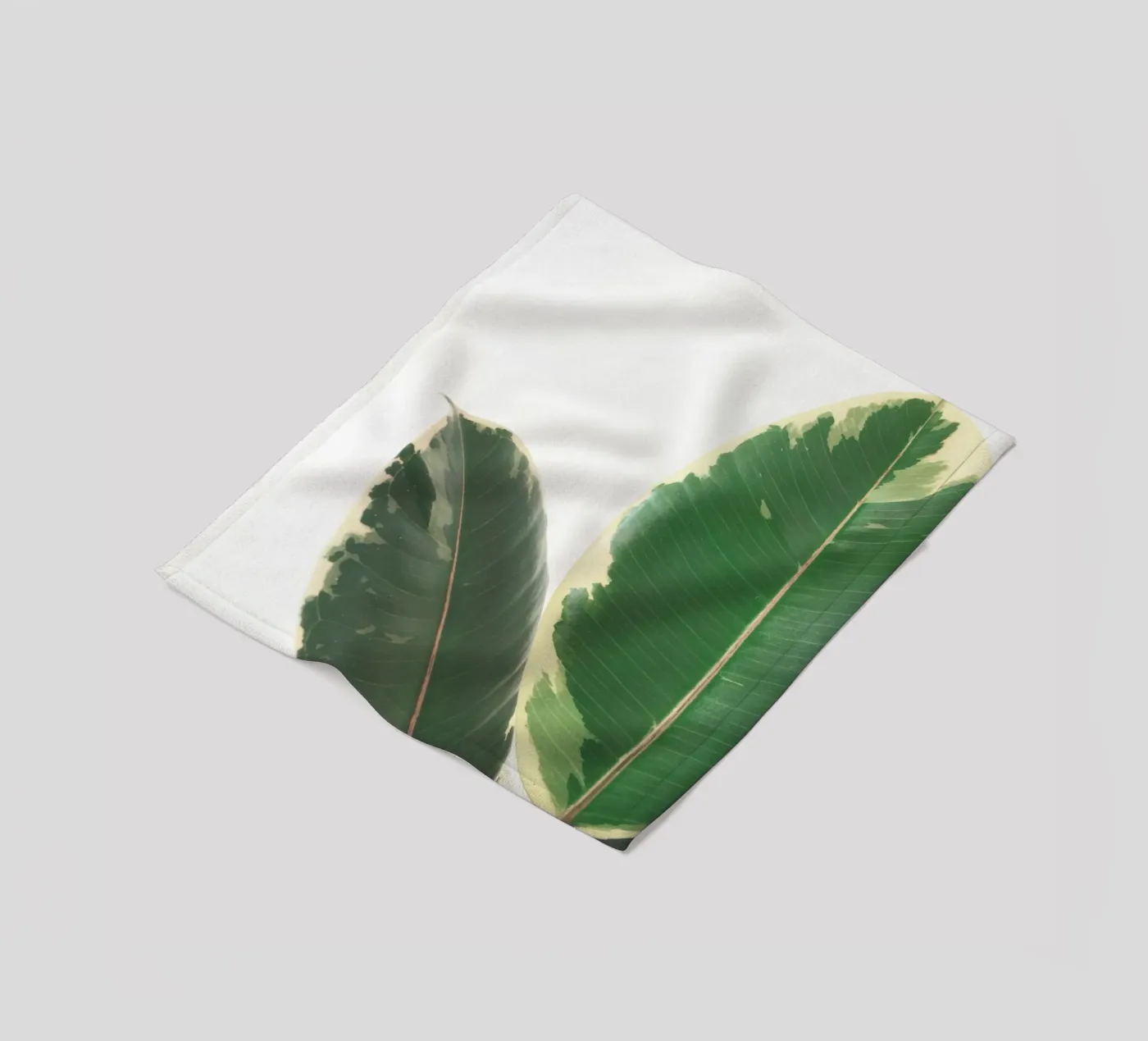 Studio delle foglie coperta in pile da Cassia Beck Photography