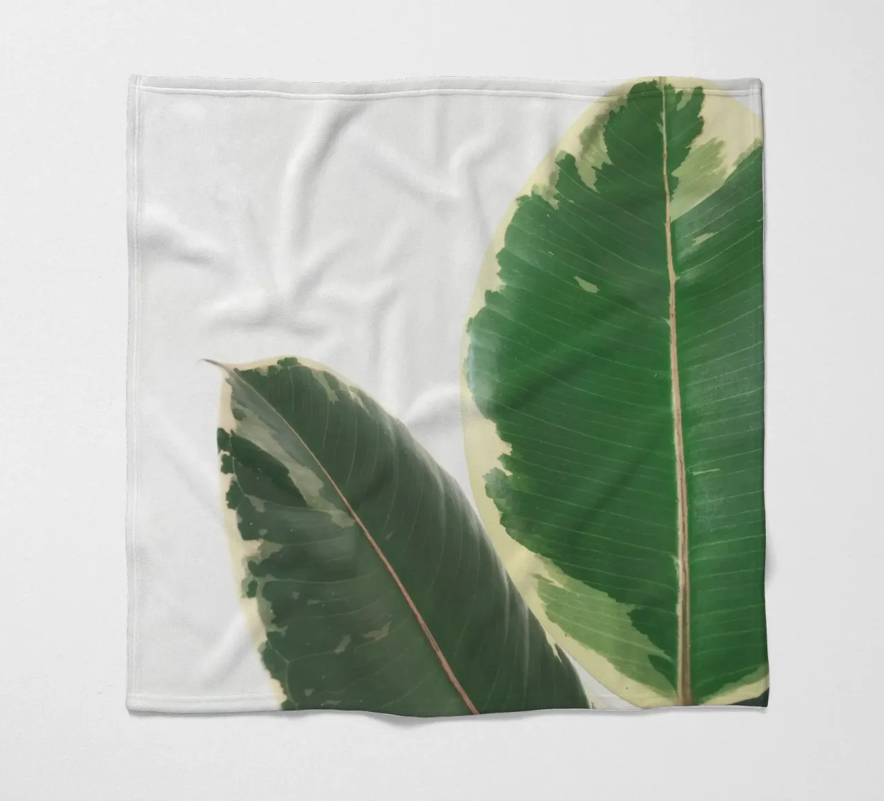 Bladstudie fleecedeken van Cassia Beck Photography